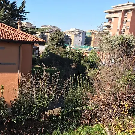 Vatican's Roma